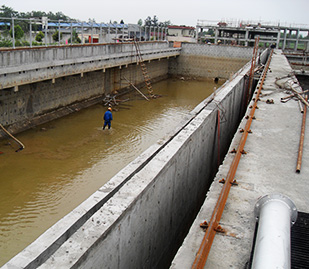 彭州草莓视频下载大全廠