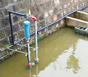 廈門筼簹草莓视频下载大全廠