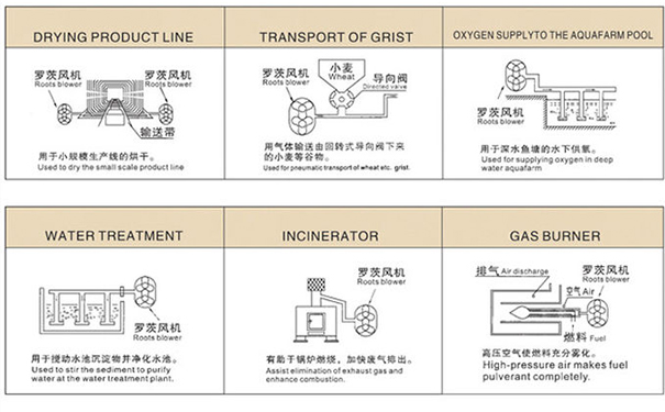 羅茨鼓草莓视频污视频在中央供料係統中重要嗎? 羅茨鼓草莓视频污视频在中央供料係統中重要嗎?