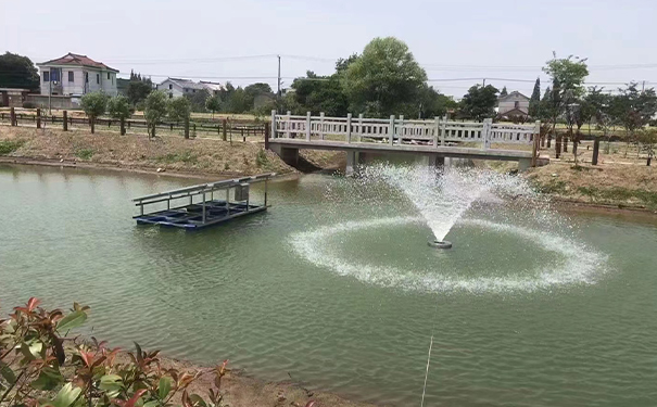 沉水草莓视频污视频在水質淨化過程中主要起到哪些作用